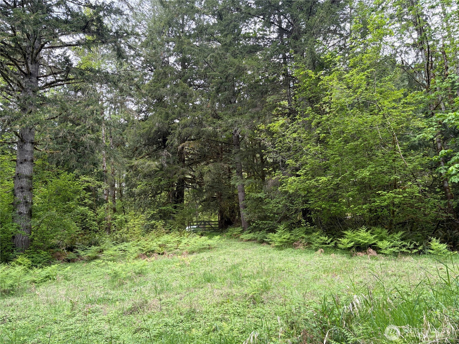 3 Duckabush Road Brinnon WA 98320