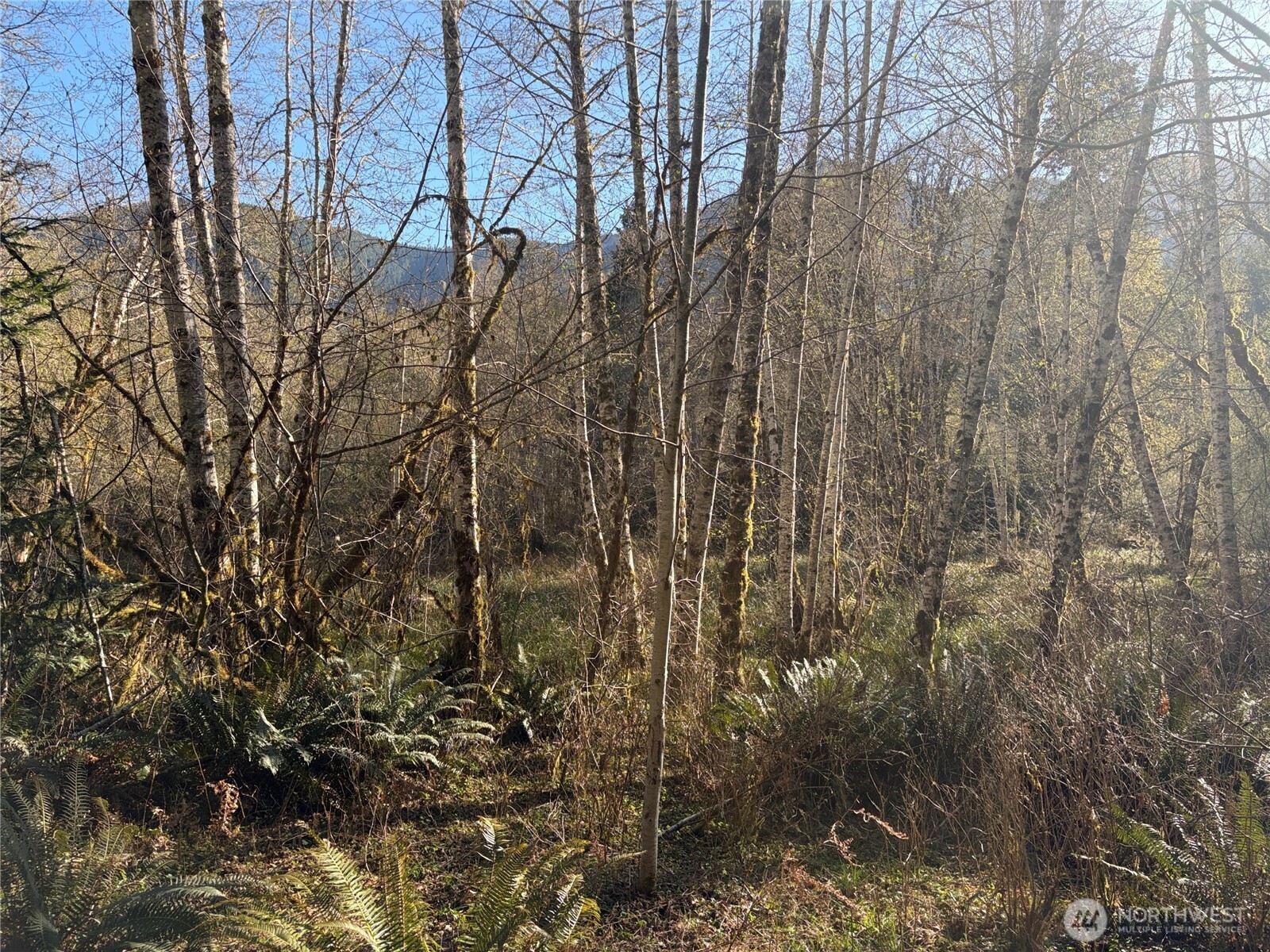 3 Duckabush Road Brinnon WA 98320