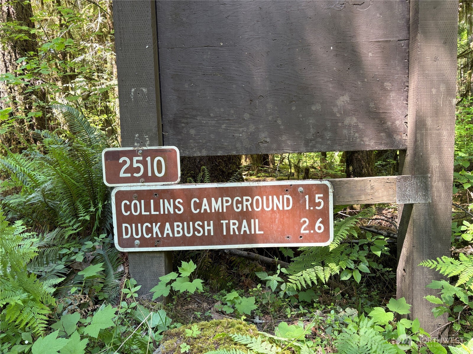 3 Duckabush Road Brinnon WA 98320