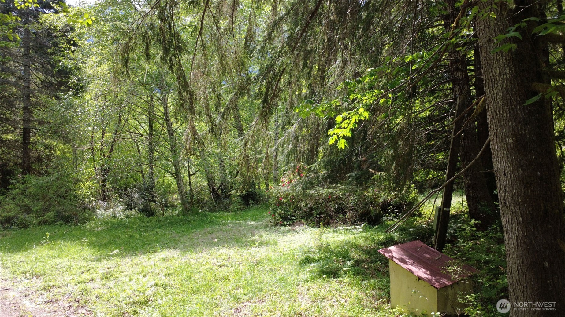 3 Duckabush Road Brinnon WA 98320