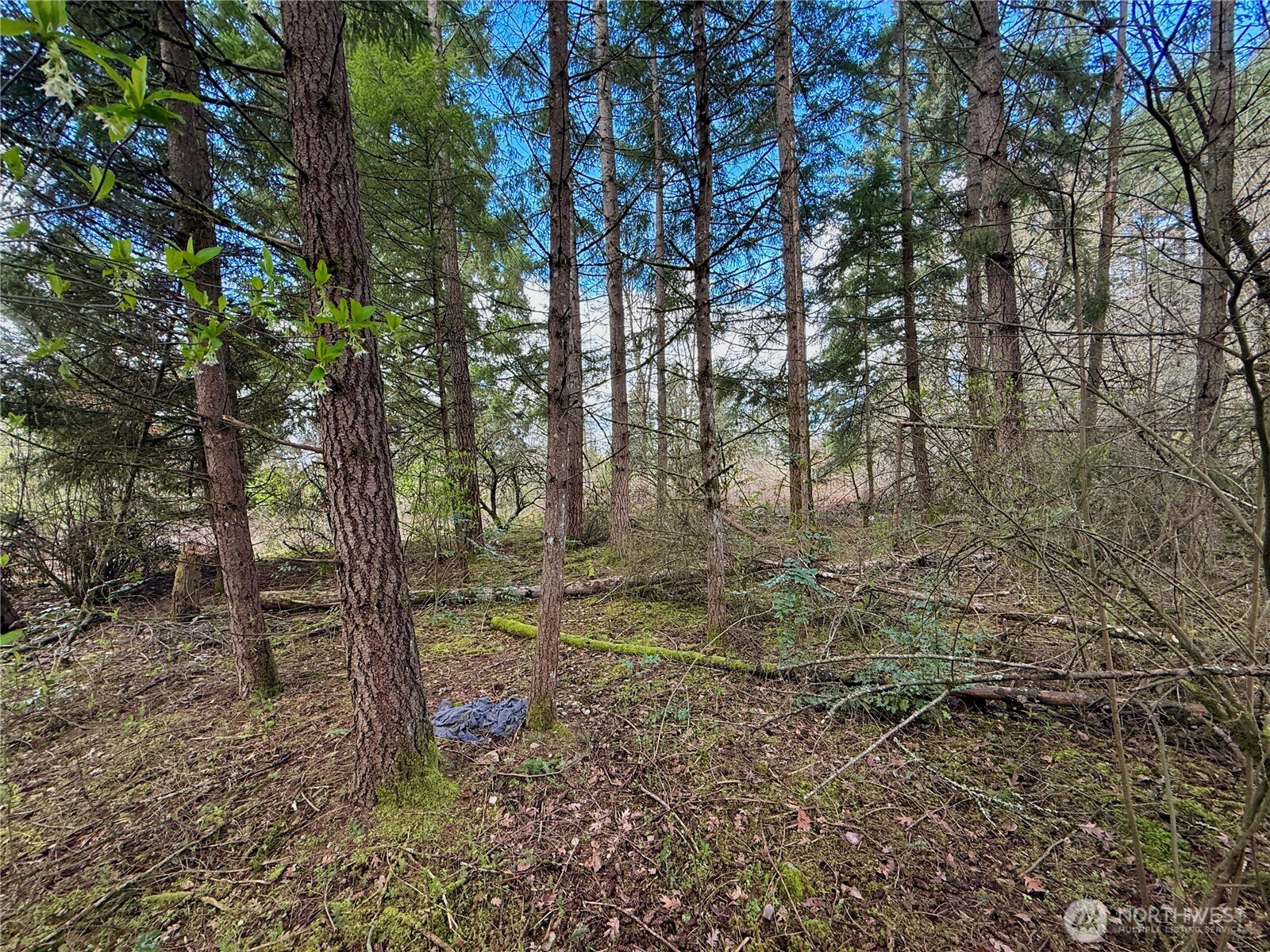 35208 88th Avenue Mckenna WA 98558