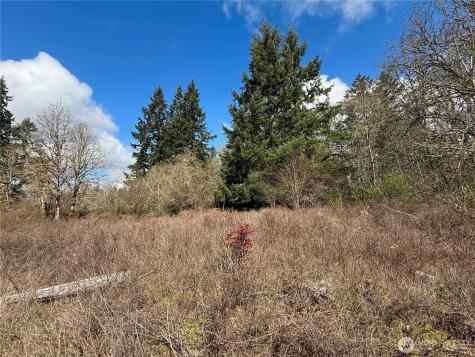 35208 88th Avenue Mckenna WA 98558