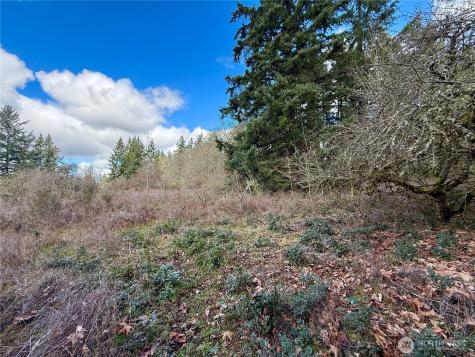 35208 88th Avenue Mckenna WA 98558