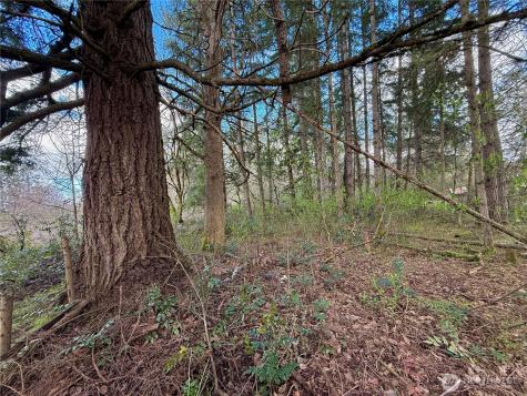 35208 88th Avenue Mckenna WA 98558