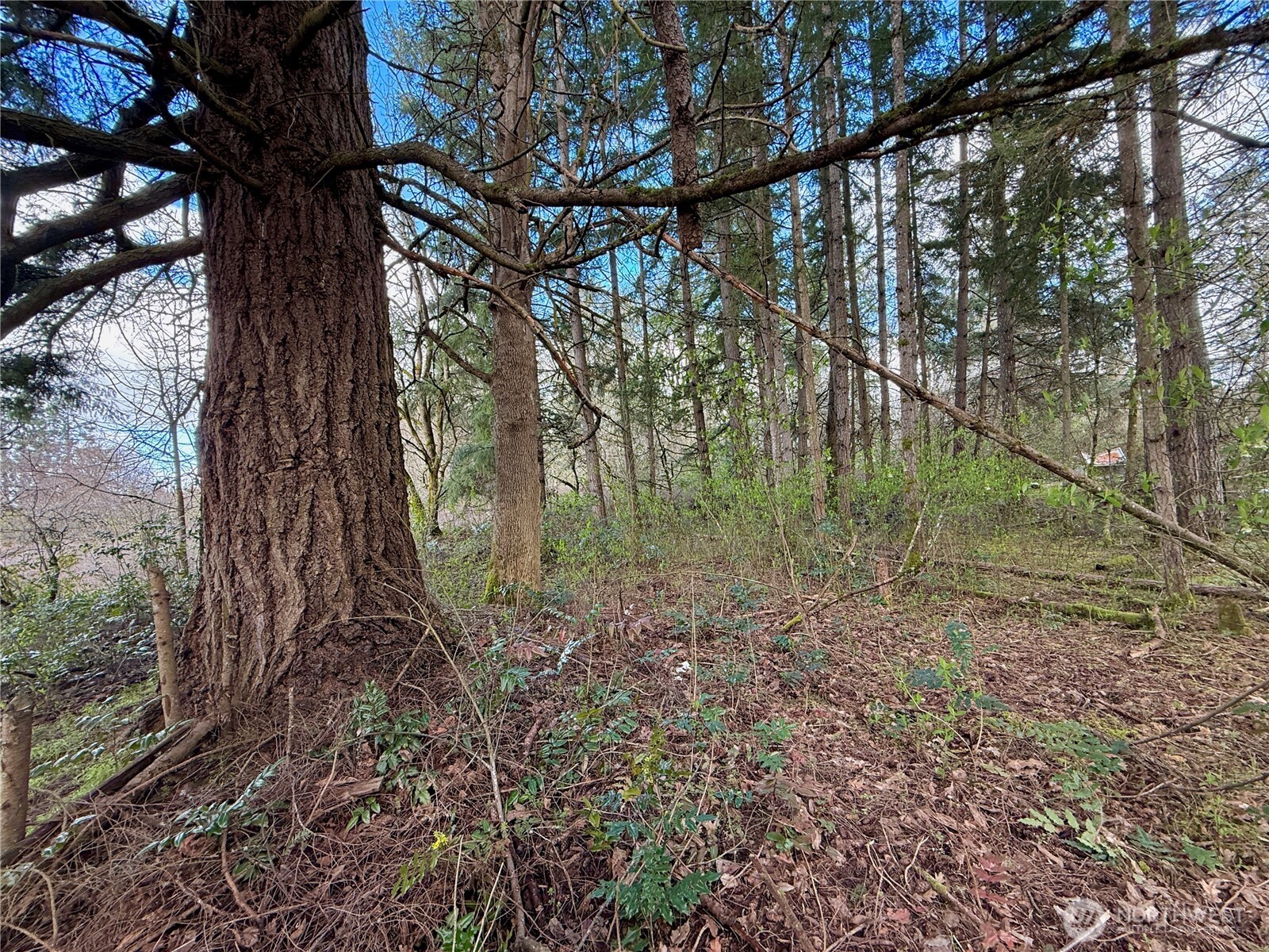 35208 88th Avenue Mckenna WA 98558
