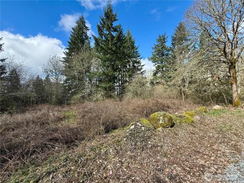 35208 88th Avenue Mckenna WA 98558