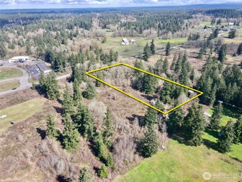 35208 88th Avenue Mckenna WA 98558