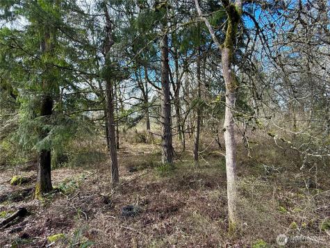 35208 88th Avenue Mckenna WA 98558