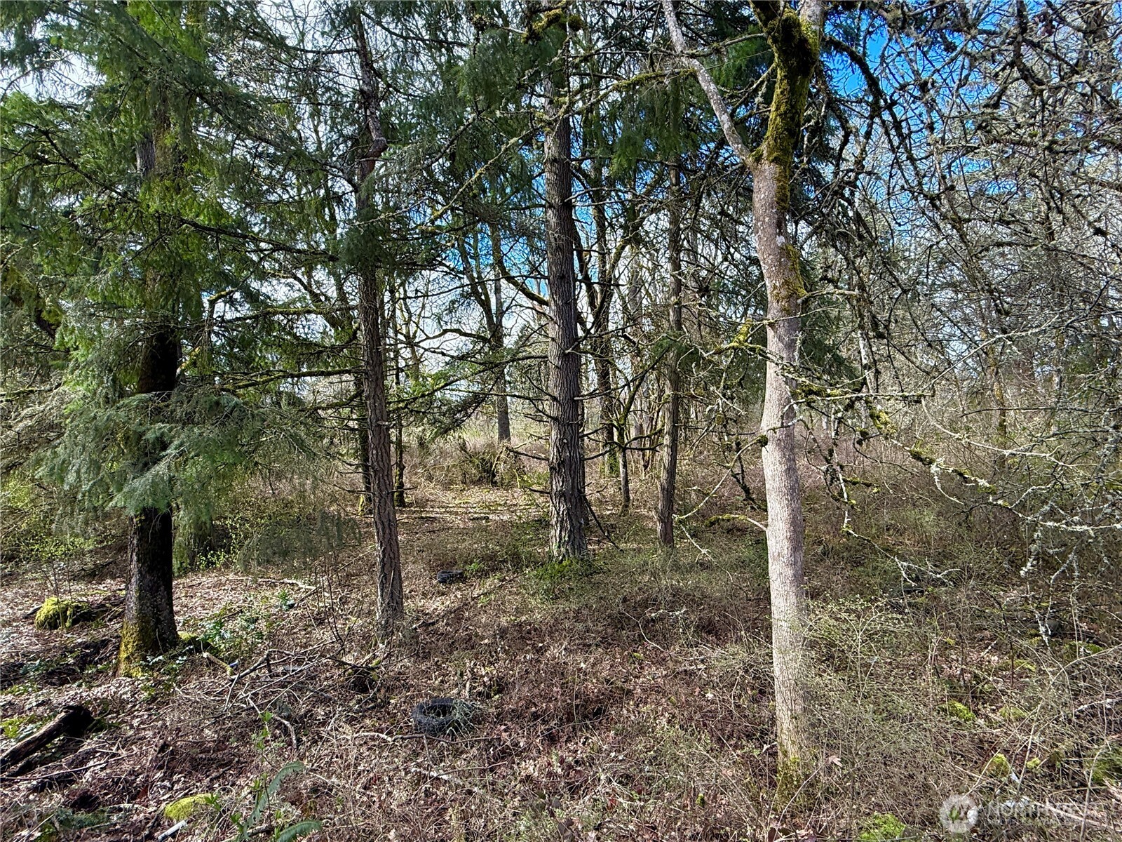 35208 88th Avenue Mckenna WA 98558