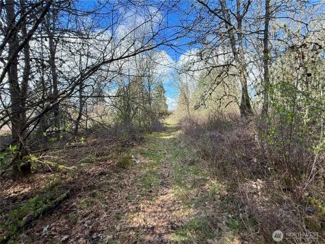 35208 88th Avenue Mckenna WA 98558
