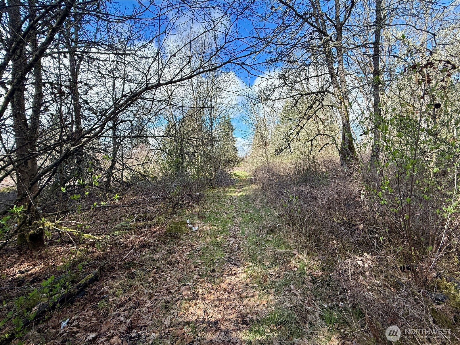 35208 88th Avenue Mckenna WA 98558