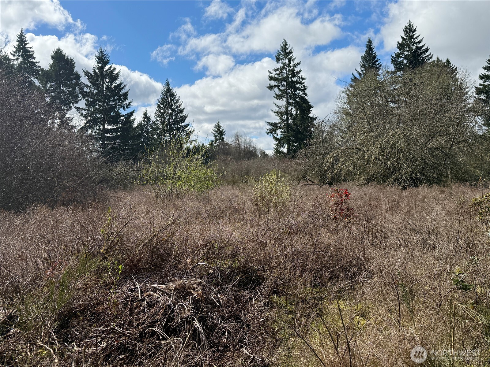 35208 88th Avenue Mckenna WA 98558
