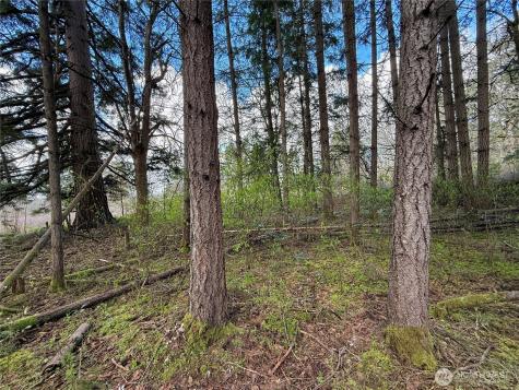 35208 88th Avenue Mckenna WA 98558