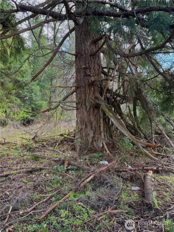 35208 88th Avenue Mckenna WA 98558