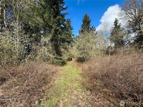 35208 88th Avenue Mckenna WA 98558