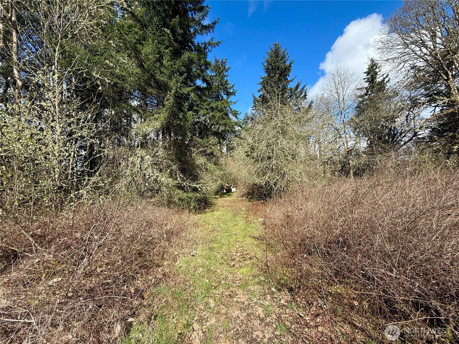 35208 88th Avenue Mckenna WA 98558