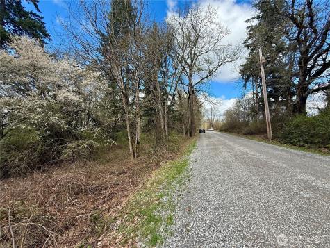 35208 88th Avenue Mckenna WA 98558