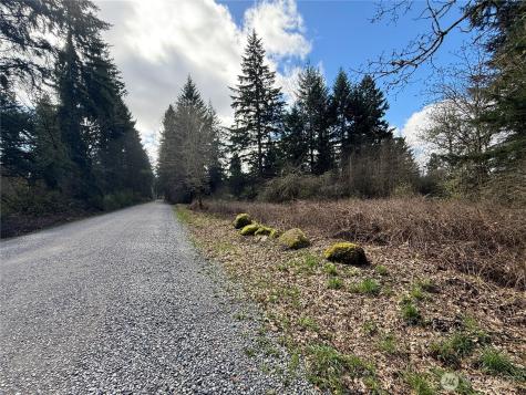 35208 88th Avenue Mckenna WA 98558