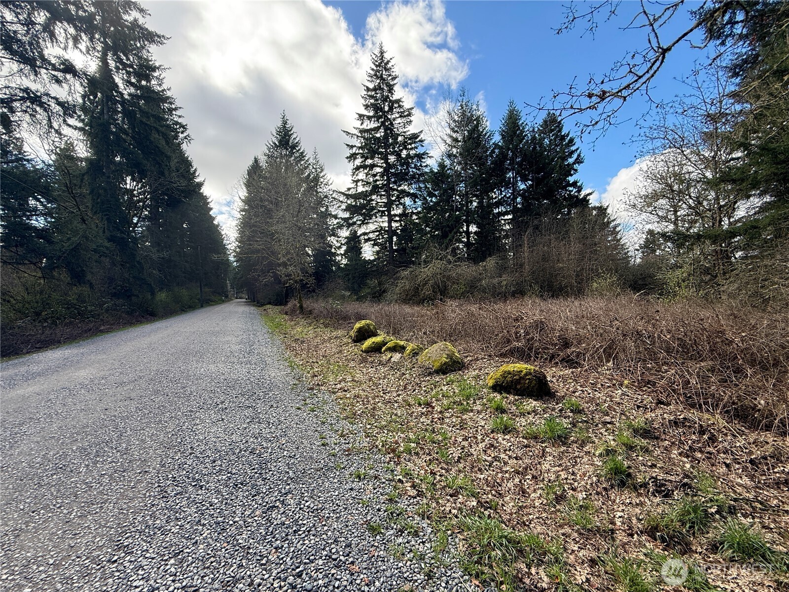 35208 88th Avenue Mckenna WA 98558