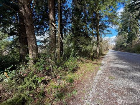 35208 88th Avenue Mckenna WA 98558