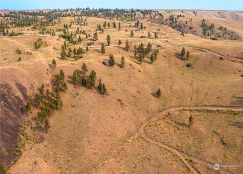100 Pine Bluffs Lane Waterville WA 98858