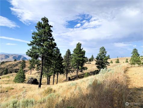 100 Pine Bluffs Lane Waterville WA 98858