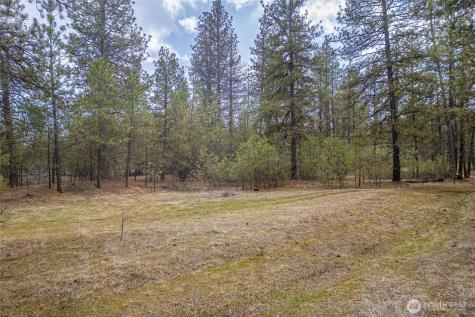8700 Stangland S Medical Lake WA 99022