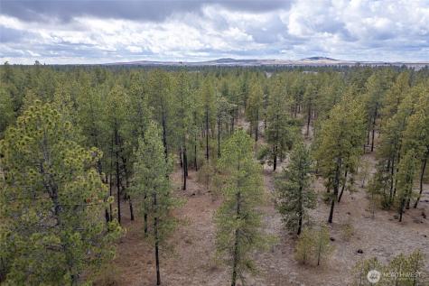 8700 Stangland S Medical Lake WA 99022