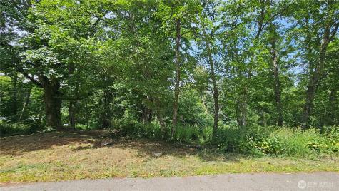 304 Dove Drive Camano Island WA 98282