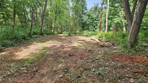 304 Dove Drive Camano Island WA 98282