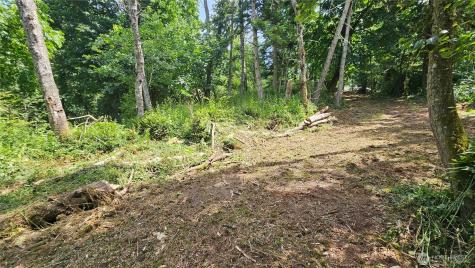 304 Dove Drive Camano Island WA 98282