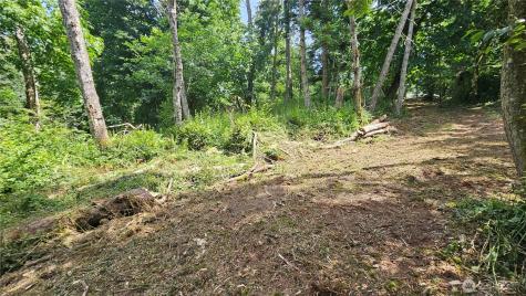 304 Dove Drive Camano Island WA 98282