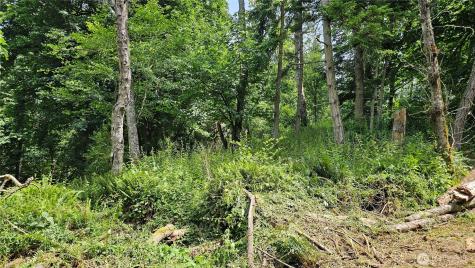304 Dove Drive Camano Island WA 98282