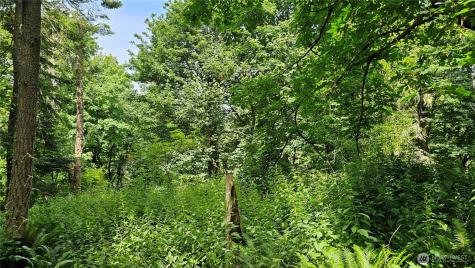 304 Dove Drive Camano Island WA 98282