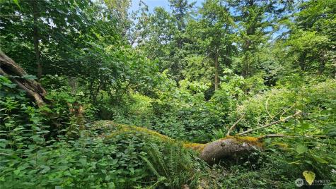 304 Dove Drive Camano Island WA 98282