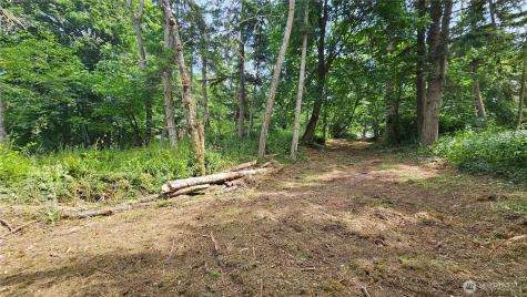304 Dove Drive Camano Island WA 98282