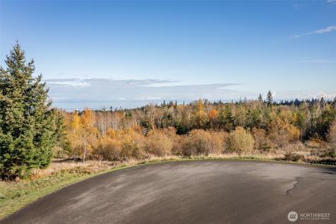 999 Ediz View Drive Port Angeles WA 98362