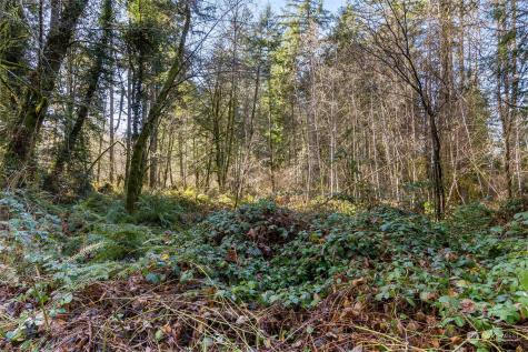 8031 Kerbaugh Road NE Olympia WA 98516