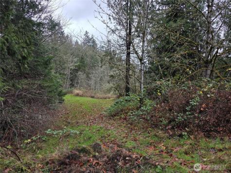 0 Silver Cove Silverlake WA 98645