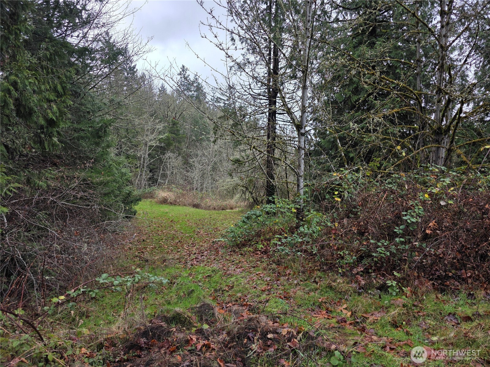 0 Silver Cove Silverlake WA 98645