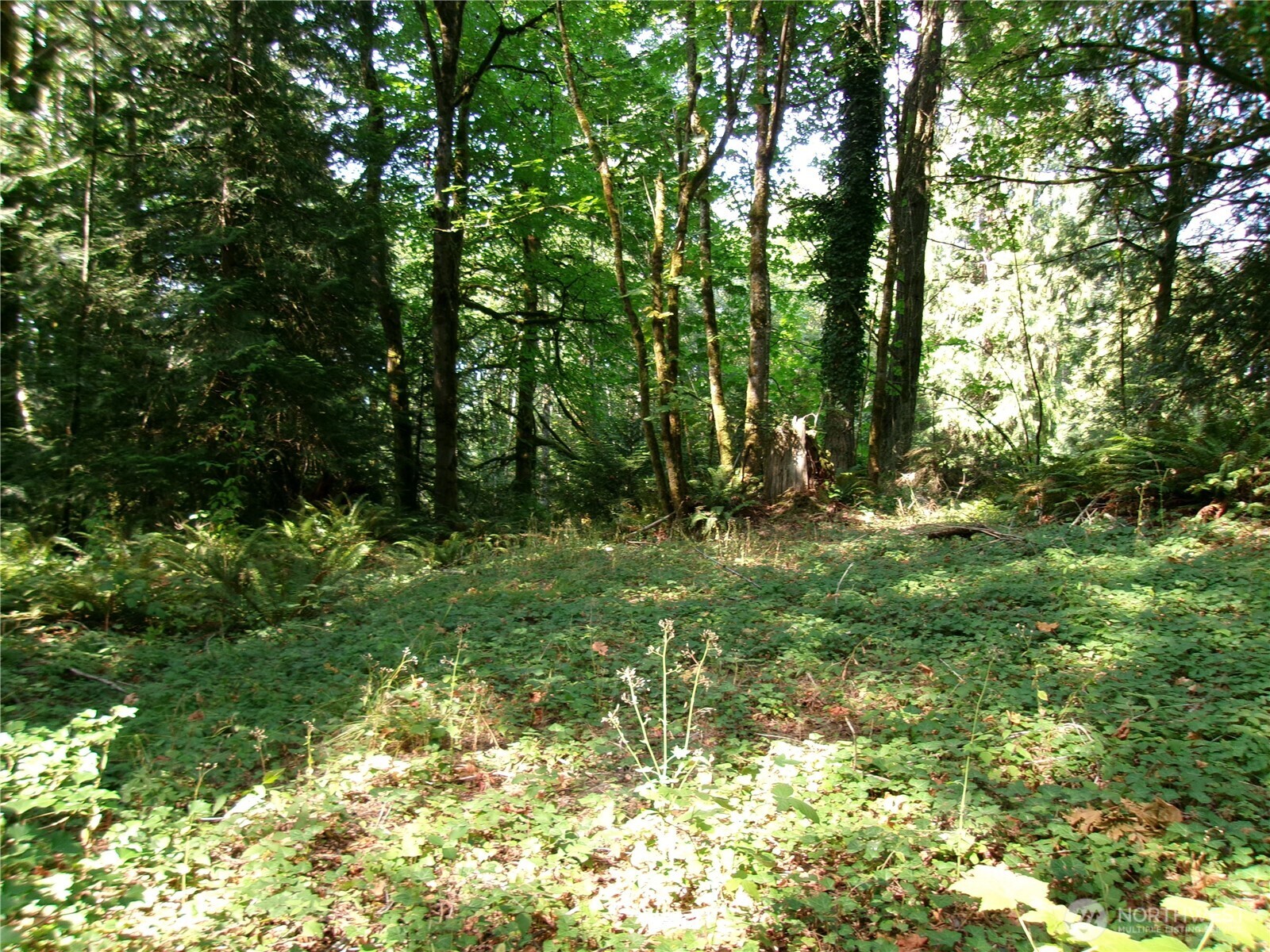 6724 SE Sedgwick Road Port Orchard WA 98366
