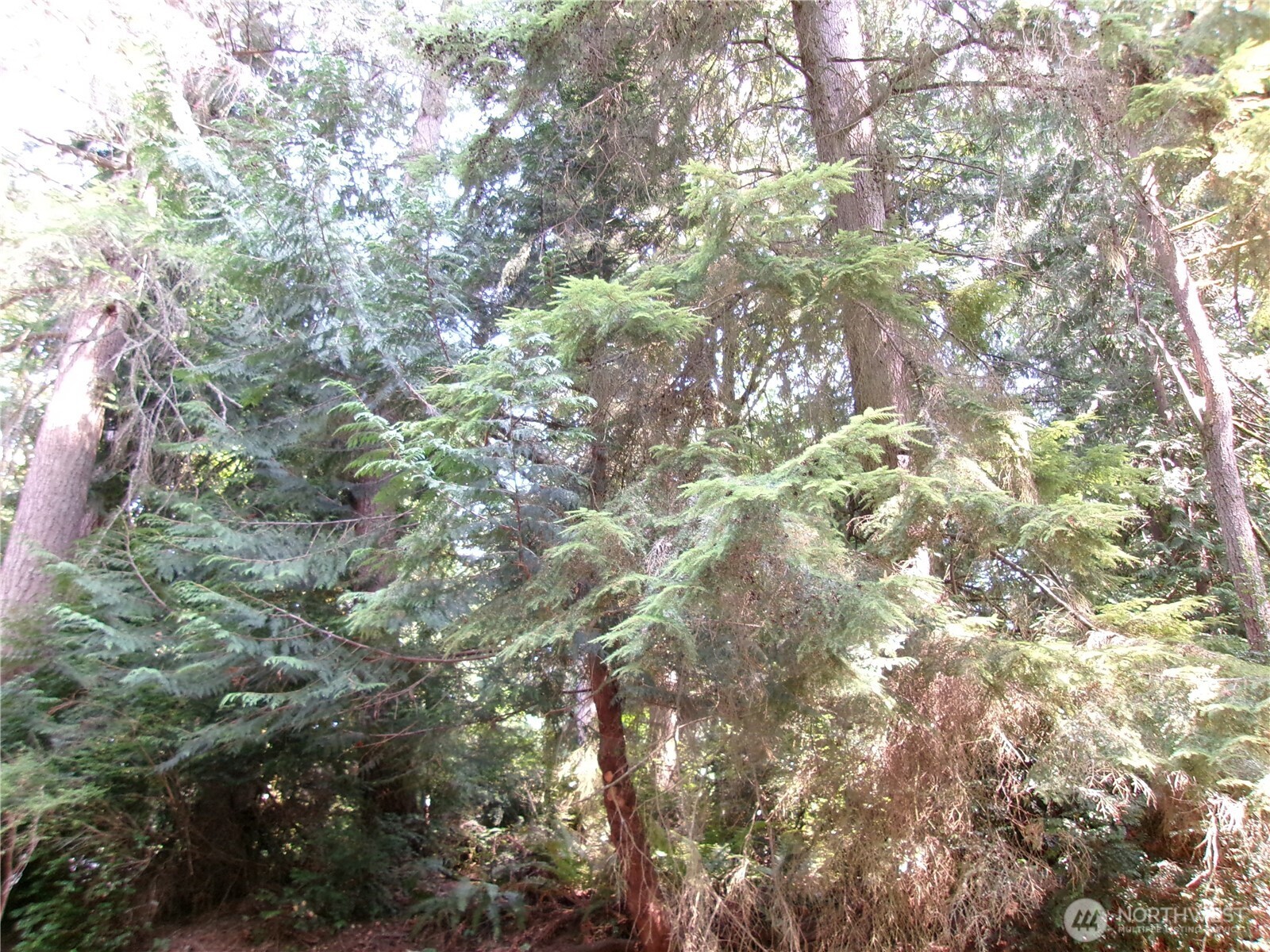 6724 SE Sedgwick Road Port Orchard WA 98366