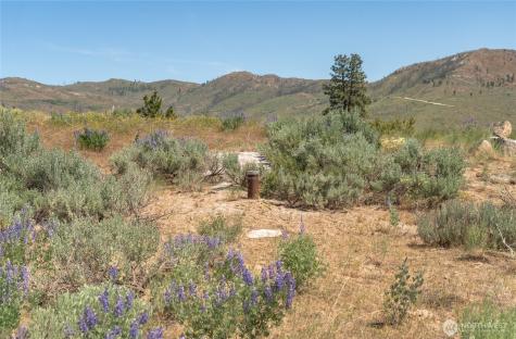 0 Lot 3 Highland Vista Methow WA 98834