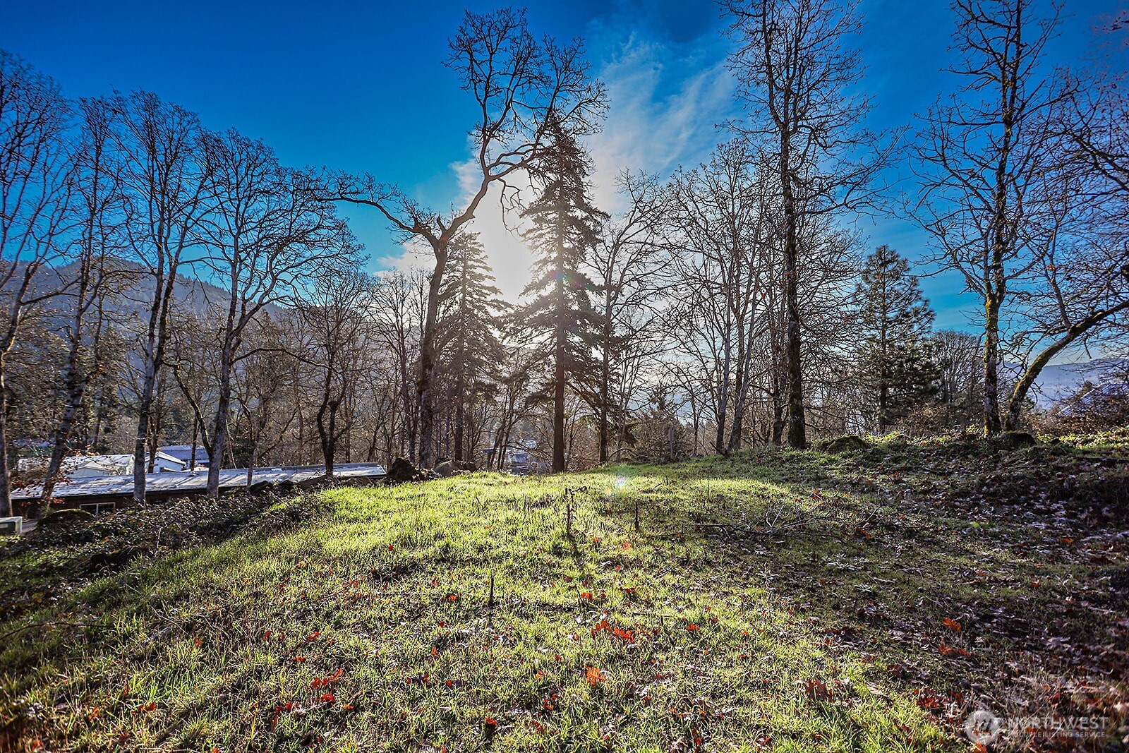 912 Hillside Lane White Salmon WA 98672