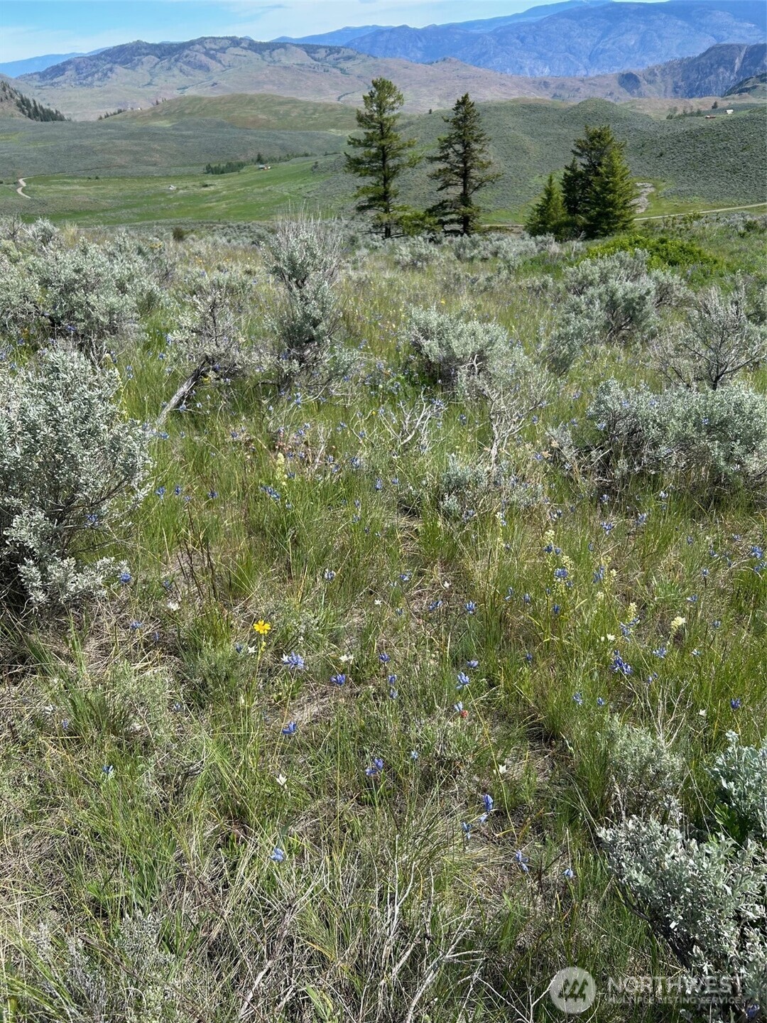 3 Tbd Ellemeham Mountain Road Oroville WA 98844