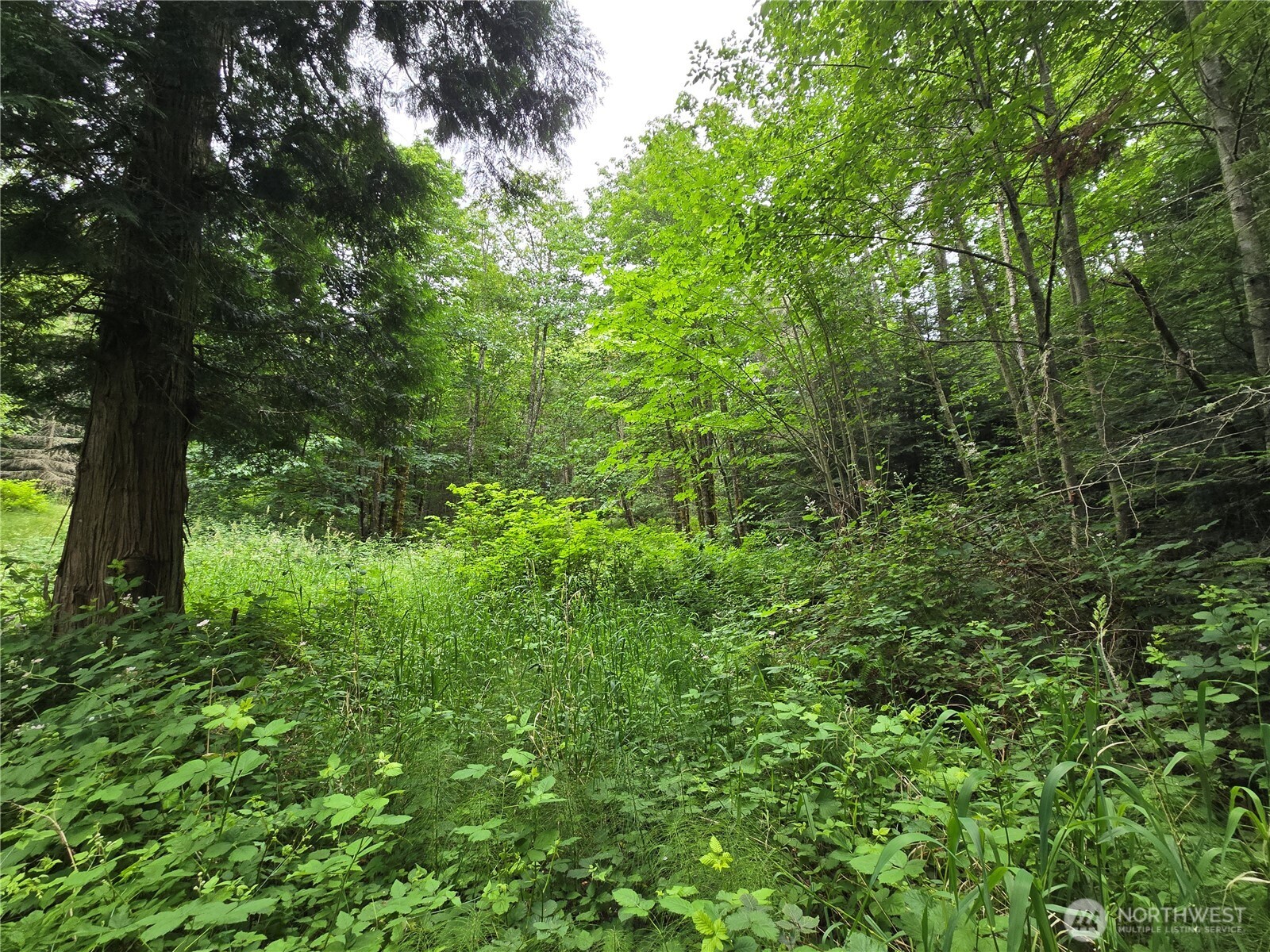 10307 NE Paradise Cove Lane (5 Lots) Kingston WA 98346