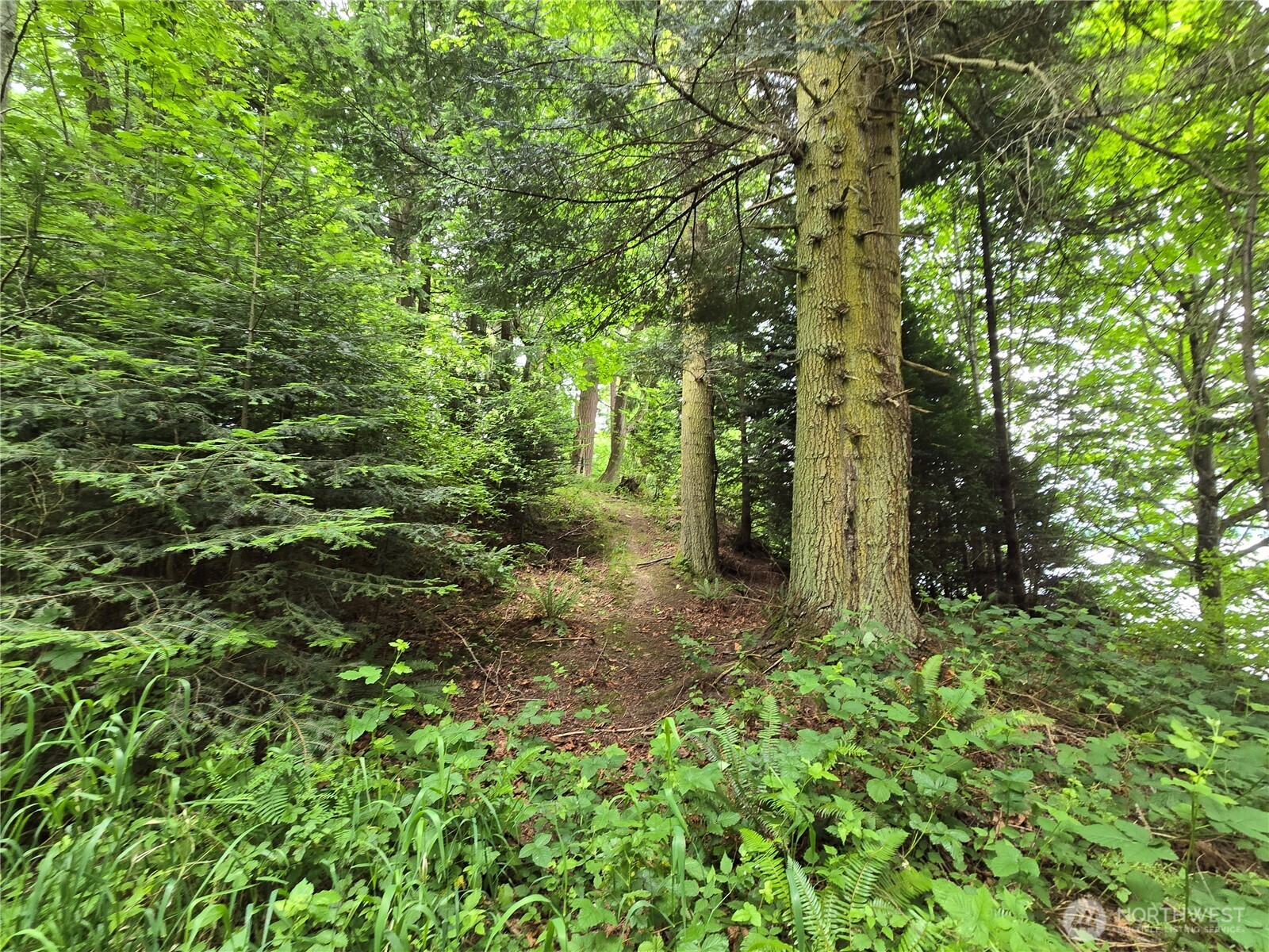 10307 NE Paradise Cove Lane (5 Lots) Kingston WA 98346