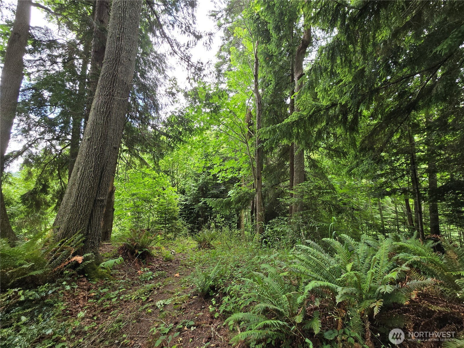 10307 NE Paradise Cove Lane (5 Lots) Kingston WA 98346
