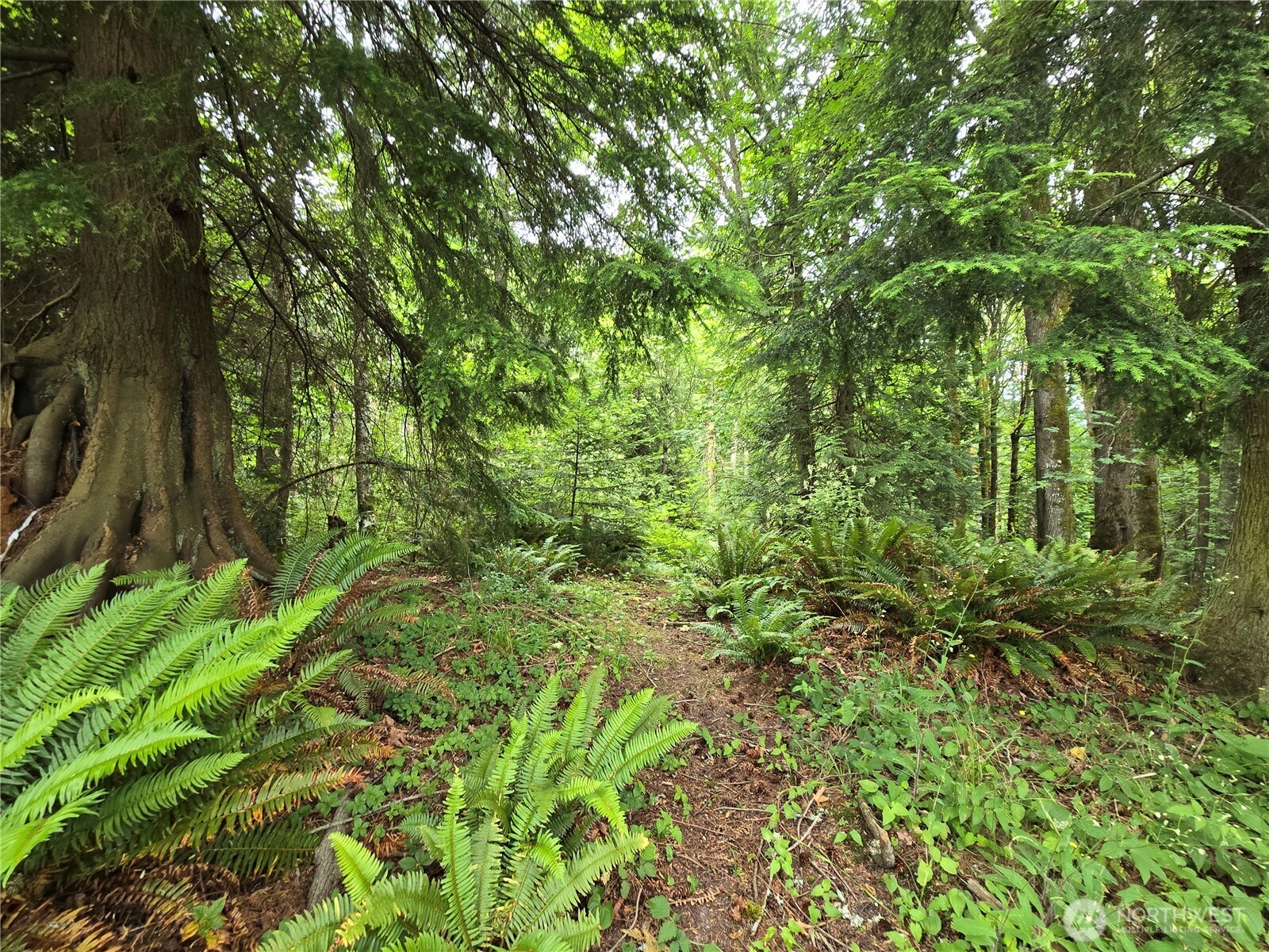 10307 NE Paradise Cove Lane (5 Lots) Kingston WA 98346