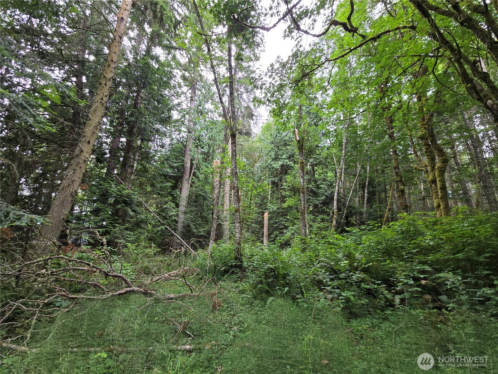 10307 NE Paradise Cove Lane (5 Lots) Kingston WA 98346